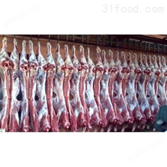 造一个1900吨肉类冷冻库要多少钱，冷库造价