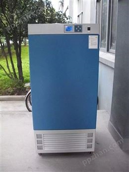湖北科辉DW-250低温恒温箱贮存箱