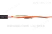 chainflex® 高柔性光纤电缆CFLG88