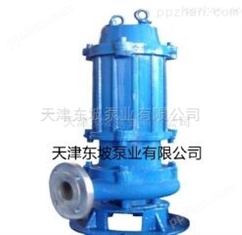 天津污水泵  排污泵品牌