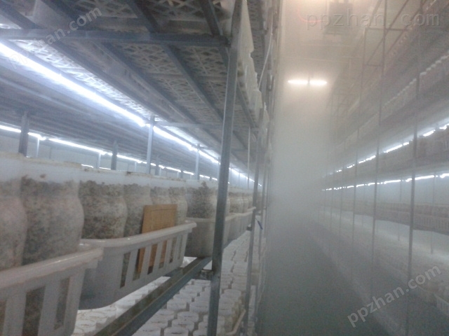 食用菌大棚湿度控制——雾化加湿器