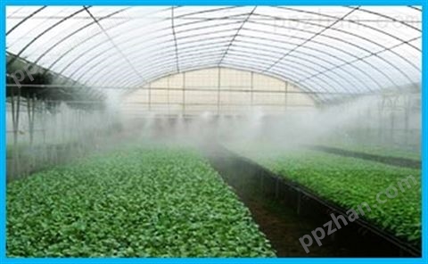 大棚种植喷雾加湿系统