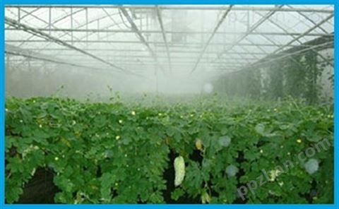 大棚种植喷雾加湿系统​