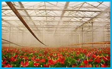 温室大棚加湿器 花卉养殖加湿设备